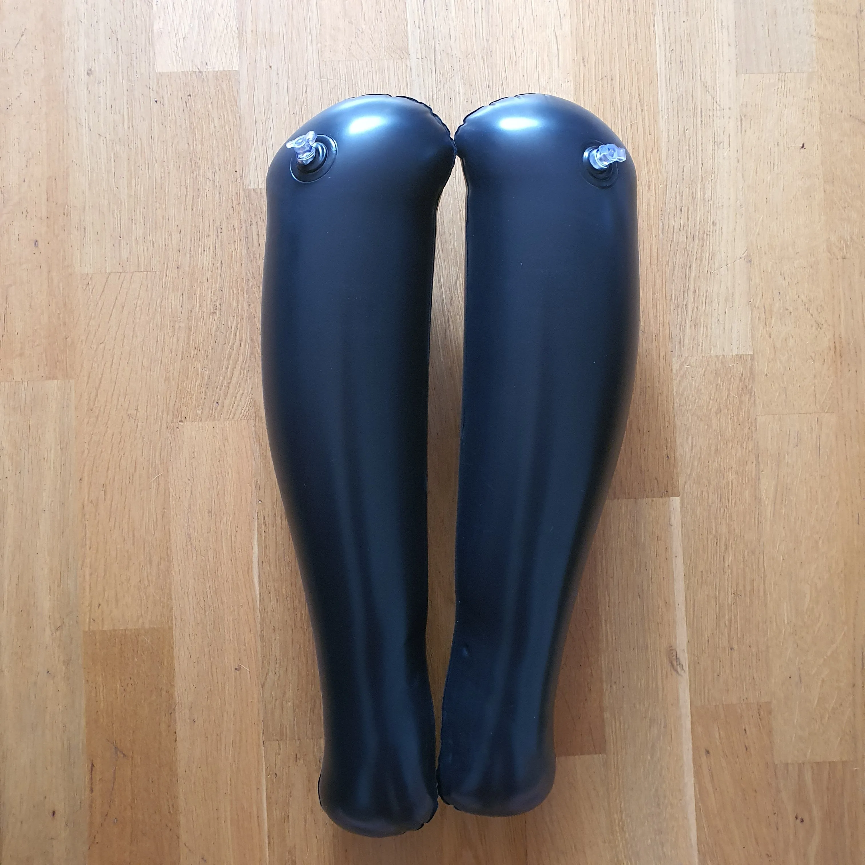 Inflatable Boot Trees - pair